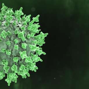 Conheça os riscos do vírus letal Nipah que preocupa a Índia