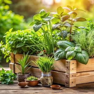 Qual banho de ervas combina com seu signo? Descubra