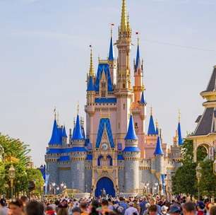 Sai mais barato do que ir à Disney: 6 franquias para investir