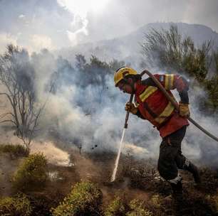 Chamas devoram mais de 60 mil hectares na Patagônia argentina