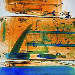 Novas tecnologias reforçam a luta global contra o tráfico de animais silvestres