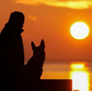 Luto após perder um animal de estimação é igual ou pior do que perder um ente querido, diz estudo