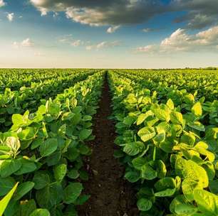 Agro brasileiro: vamos vender para o mundo inteiro