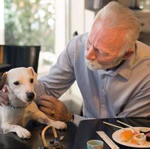 Buenos Aires se transforma na capital pet friendly da América Latina e redefine a vida urbana