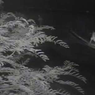 Mulher pula de carro em movimento para escapar de agressões e é salva por policiais no Ceará