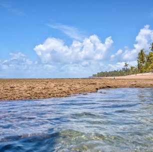 Península de Maraú: melhores praias, passeios, onde ficar e outras dicas