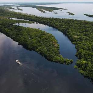 Guia de viagens completo pelo Arquipélago de Anavilhanas