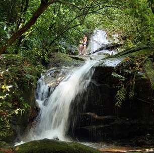 Programa de Voluntariado do Parque Nacional da Tijuca faz 23 anos e promove mutirão de conservação