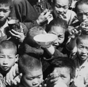 O inimigo número um da China não era um país, mas sim passarinhos: o plano radical que provocou a maior crise de fome da história