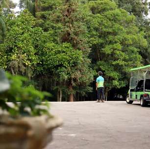Horto Florestal (SP) faz 130 anos: veja programação