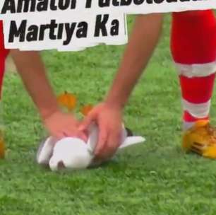 Vídeo: jogador faz massagem cardíaca e salva vida de gaivota atingida por bolada