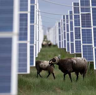 Eles só queriam energia, mas alteraram a natureza: o 'efeito colateral' impensável da megaobra chinesa que cobriu o deserto com painéis solares