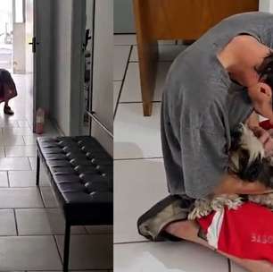 Cachorrinha é devolvida ao verdadeiro tutor após teste da Polícia Civil em delegacia do RS; veja