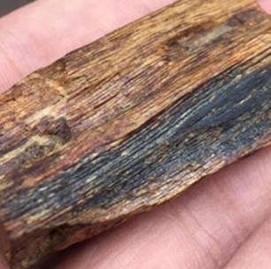 Ouro da floresta: por que o Kynam é a madeira mais cara do mundo