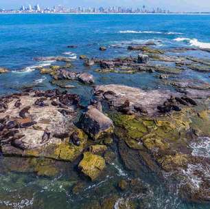 Ilha dos Lobos: a joia natural do litoral norte do Rio Grande do Sul
