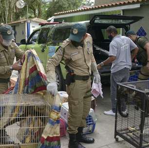 Patrulha Ambiental do Rio segue sem contrato desde outubro e atende só 9,8% dos chamados do 1746
