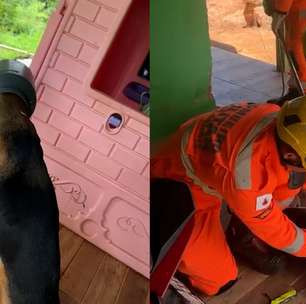 Cachorro é resgatado após ficar com a cabeça presa em leiteira em MG