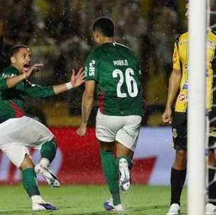 Palmeiras bate Novorizontino e conquista o Paulistão pela 27ª vez