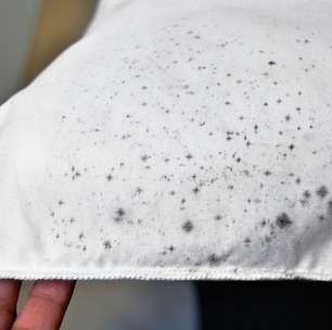 Mofo: como proteger as roupas antes que ele apareça?