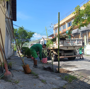 Programa Corredores Verdes chega a Realengo e planta mais de 180 mudas de árvores