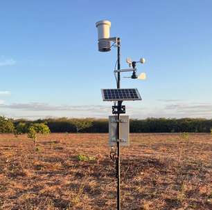 IA ajuda a "escutar" a degradação no semiárido