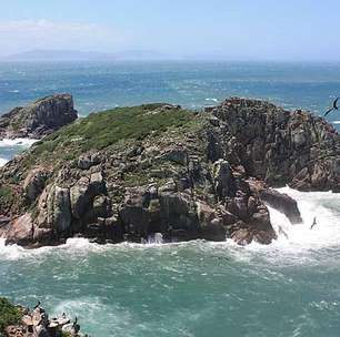 Conhece? Mamífero mais raro do planeta vive em ilha brasileira