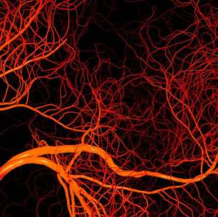 Perniose: como proteger sua pele do frio e evitar complicações