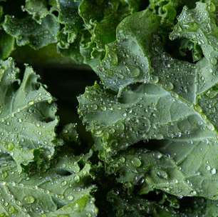 Veja os alimentos que podem agir no corpo de forma parecida com o Ozempic