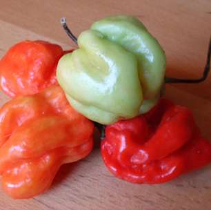 Quitutes apimentados que fazem sucesso em diferentes países