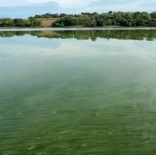 Por que as águas do Rio Tietê ficaram verdes em cerca de 100 km no interior de SP