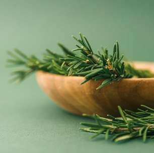 Ervas para atrair amor verdadeiro? Veja como usar do jeito certo