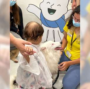 Cães resgatados se tornam terapeutas no GRAACC para apoio à crianças em tratamento oncológico