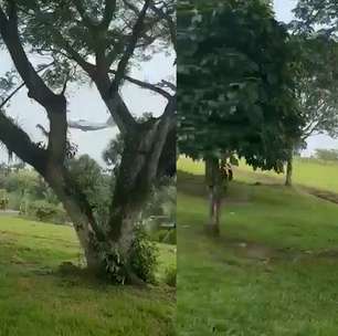 Vídeo mostra avião militar perdendo altitude antes de cair na Colômbia
