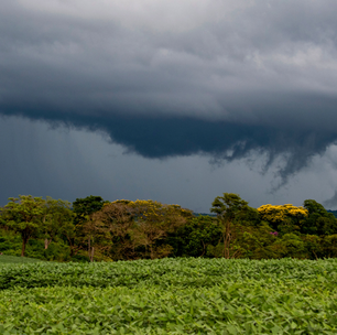 Por que o Paraná se tornou um 'corredor de tornados'? Conheça os casos mais graves