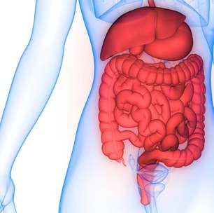 O papel do apêndice e por que sua retirada não compromete o organismo