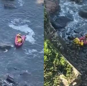 Homem se joga de precipício de quase 40 metros para fugir de ataque de abelhas no litoral de SP