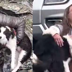 Vídeo mostra reencontro emocionante de tutora com cachorrinha que passou uma semana perdida em floresta