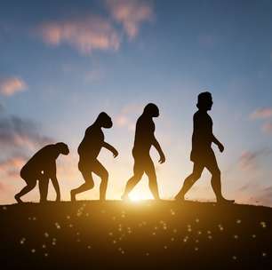 O corpo humano não é uma obra-prima do design, mas uma colcha de retalhos de concessões evolutivas