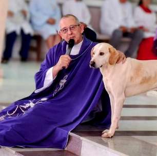 Cachorro caramelo passa a frequentar missas no Paraná e viraliza nas redes sociais