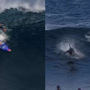 Ítalo Ferreira surfa com golfinhos durante aquecimento para a etapa de Margaret River da WSL