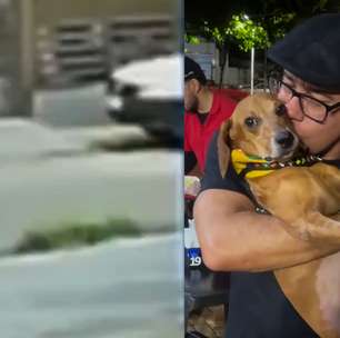 Cachorro que teve 40% do corpo queimado em Goiás aparece bem e recebendo carinho em novas imagens
