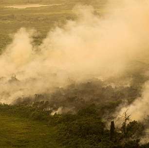 Calor extremo deixa rastro de perdas no setor agropecuário do Brasil, mostra relatório da ONU