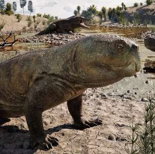Pesquisadores descobrem réptil de 230 milhões de anos com "bico de papagaio" no Rio Grande do Sul