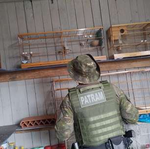 Fiscalização ambiental da Brigada Militar no Litoral Norte e Região Metropolitana alcança mais de 30 animais entre resgates e apreensões