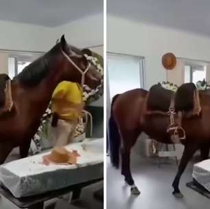 Égua relincha ao se despedir de dono em velório em SC e emociona família