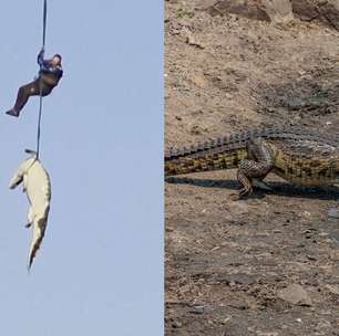 Entenda a história por trás da imagem do crocodilo içado por helicóptero na África do Sul