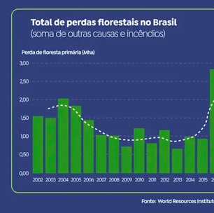 Perdas florestais caem 42% no Brasil, aponta estudo