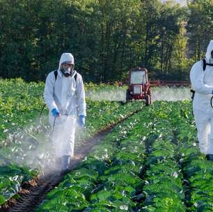 O aroma da chuva esconde um segredo: microrganismos do solo que produzem toxinas contra insetos