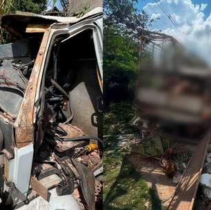 Venezuelana grávida morre em capotamento de caminhão carregado com porcos em MG
