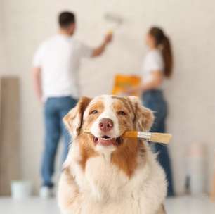 7 mudanças simples no quarto que ajudam a melhorar a qualidade do sono